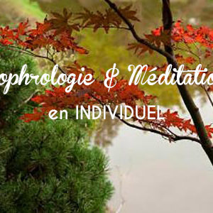 Sophrologie et Meditation Indivisuel Saint Nazaire 44